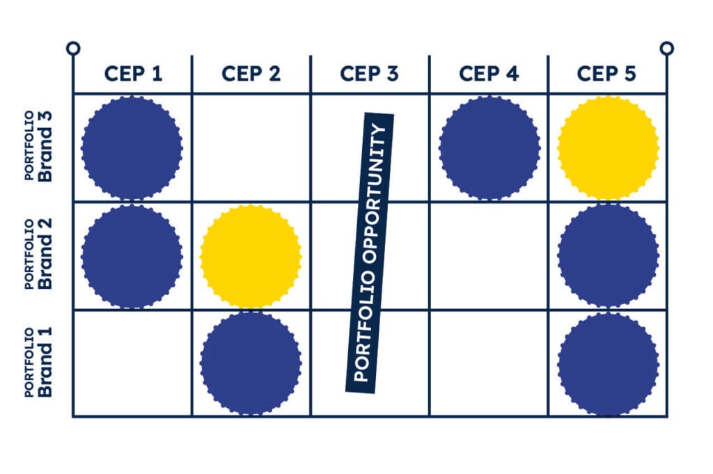Visual chart illustrating brand portfolio strategy with blue and yellow circles across five categories and three portfolios.